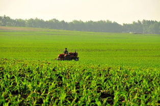 春耕新变，种业为先——农业农村部解读农作物种子生产新动向