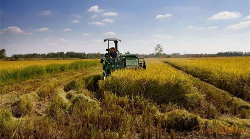 2019年或将逆势增长的10种农机 聚焦农作物种子生产