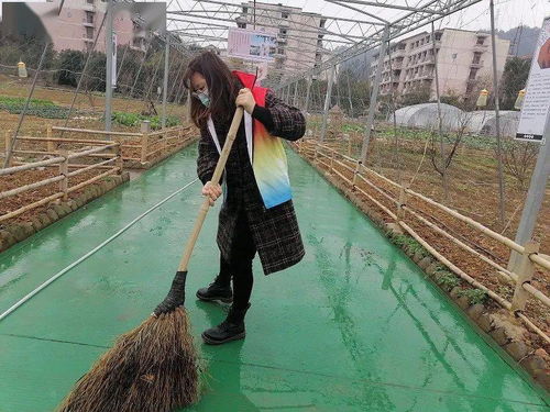 清园护种践初心，青春献礼党代会——作物种业研究生党支部联合生物种业研究会清洁农作园主题党日活动纪实
