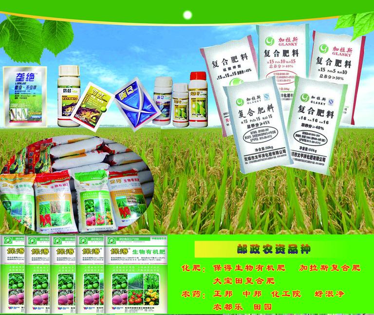 从江县农牧公司江西桥头图书馆门面农作物种子生产 坚守乡土，孕育丰收希望